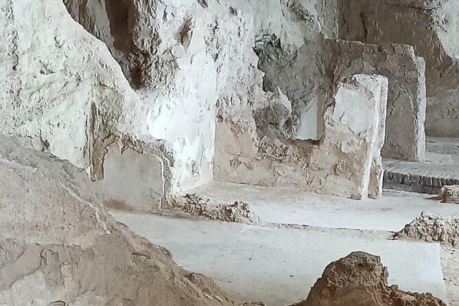 Guided Visit to the Alcazaba - Response From Host