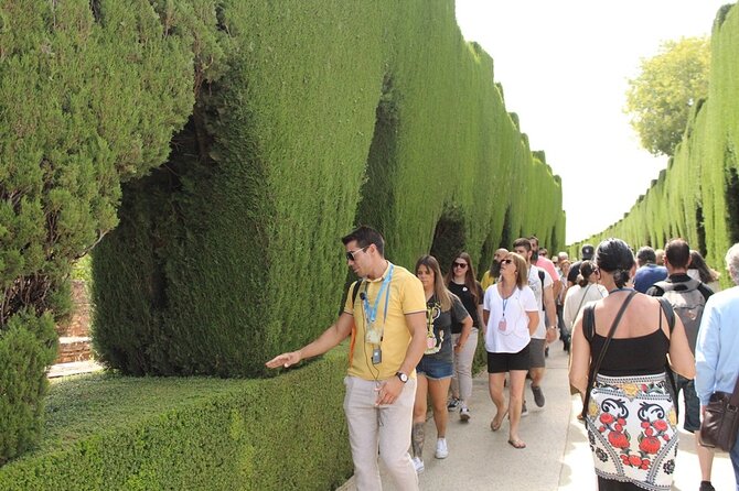 Guided Visit to the Alhambra, Nasrid Palaces and Generalife - Tour Overview