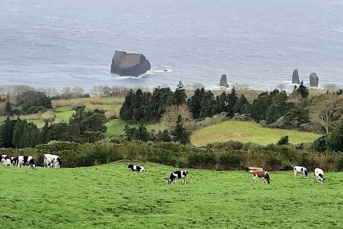 Guided Visit to the Crater and Volcano of Lagoa Das Sete Cidades - Reviews Summary