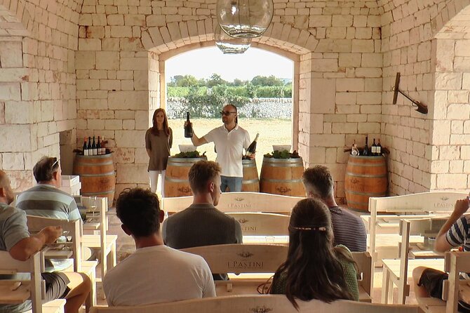 Guided Visit to the Vineyard With Wine Tasting - Vineyard and Winery Tour