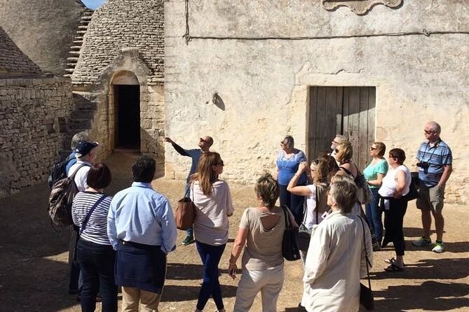 Guided Visit to the Vineyard With Wine Tasting - Wine Tasting and Apulian Delicacies