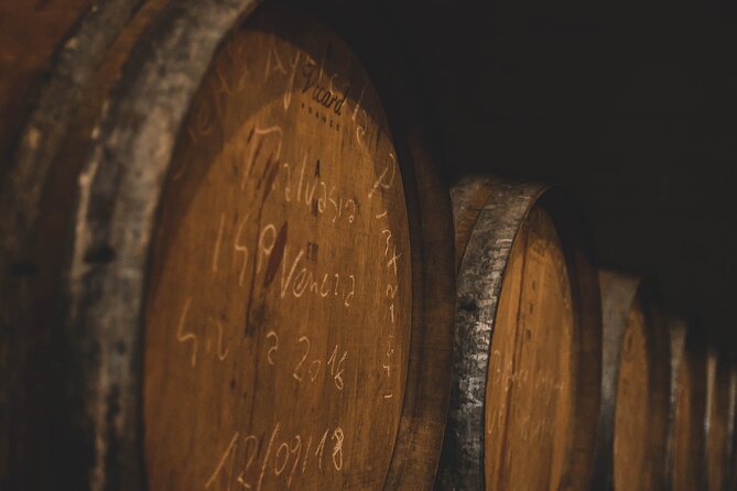 Guided Visit to the Vineyard With Wine Tasting - Exploring the Apulian Region