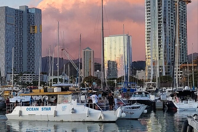 Guided Waikiki Turtle Snorkeling With FREE Pick-Up - Cancellation Policy and Important Information