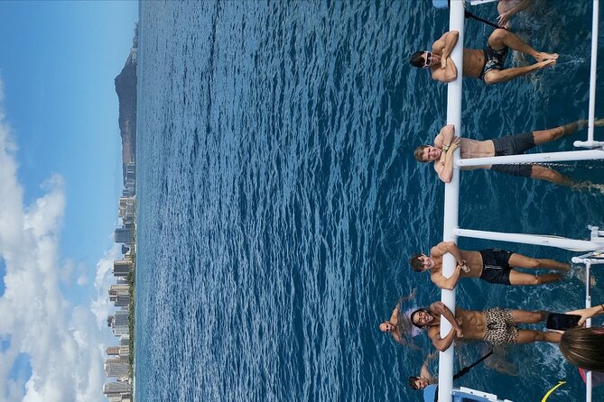 Guided Waikiki Turtle Snorkeling With FREE Pick-Up - Customer Reviews and Feedback