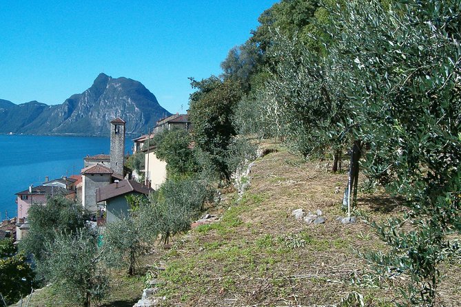Guided Walk From Lugano to Gandria Promoted by Lugano Region - Return by Boat - Historical Significance of Lugano