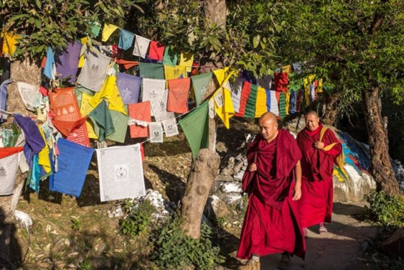 Guided Walk, Indias Own Mini Tibet at Mcleodganj - Guide and Inclusions