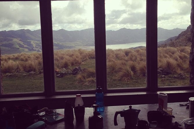 Guided Walk & Scenic Drive From Christchurch- Port Hills & Packhorse Hut - Meeting and Pickup
