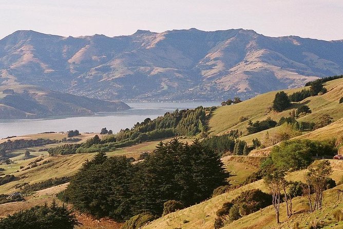 Guided Walk & Scenic Drive From Christchurch- Port Hills & Packhorse Hut - Booking Information