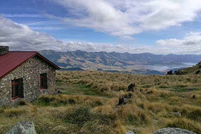 Guided Walk & Scenic Drive From Christchurch- Port Hills & Packhorse Hut - Scenic Route