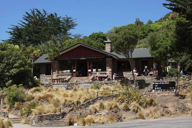 Guided Walk & Scenic Drive From Christchurch- Port Hills & Packhorse Hut - Highlights of the Tour