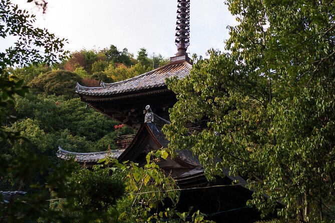 Guided Walking Ohenro Pilgrimage Experience in Dogo Hot Spring - Meeting and End Point Details
