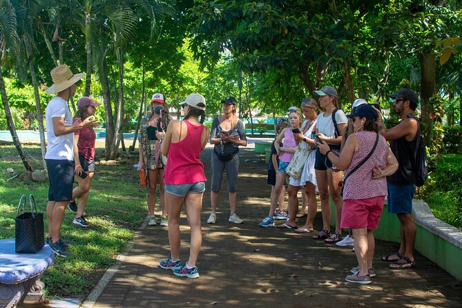 Guided Walking Street Art & Graffiti Tour in Jaco Costa Rica - Reviews and Testimonials