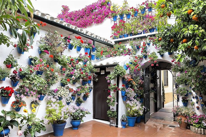 Guided Walking Tour in Cordoba - Booking Information