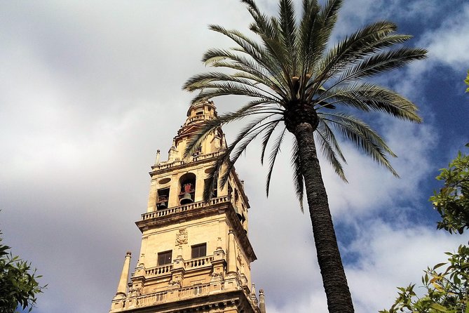 Guided Walking Tour in Cordoba - Price and Payment