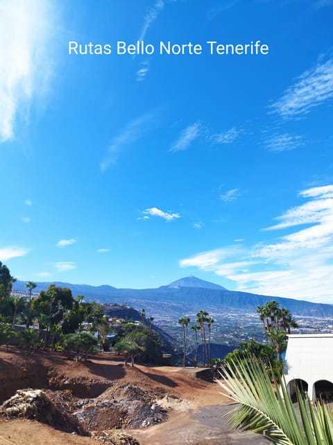 Guided Walking Tour in La Orotava,Tenerife - Discovering the Town Hall of La Orotava