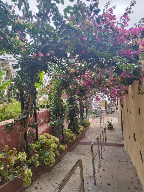 Guided Walking Tour in La Orotava,Tenerife - Jardines Victoria: Strolling Through Historical Gardens