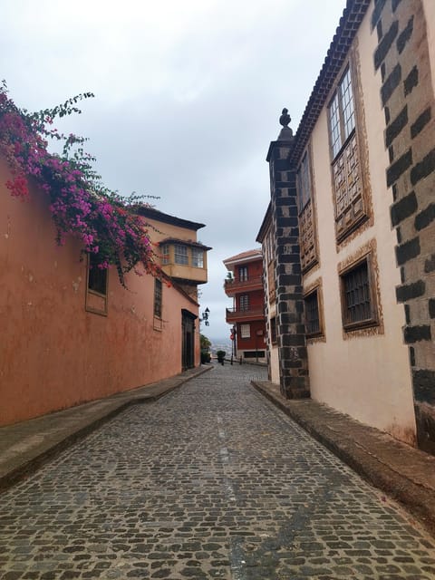 Guided Walking Tour in La Orotava,Tenerife - Tour Details and Practical Information