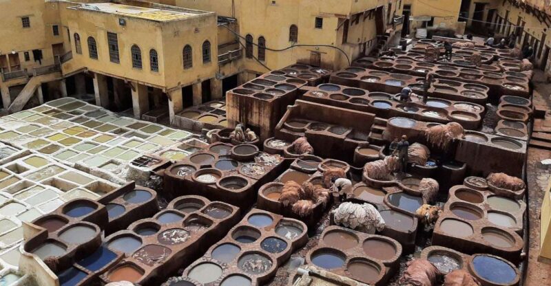 Guided Walking Tour in Old Medina Fez - Cultural Immersion