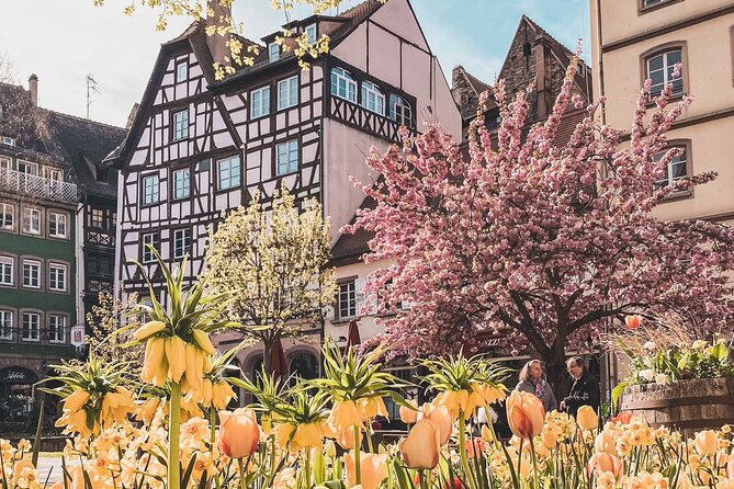 Guided Walking Tour in Strasbourg Between History and Curiosities - Pricing and Cancellation Policy