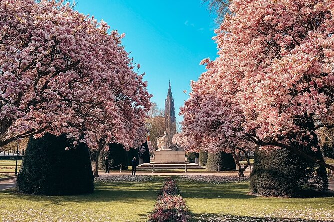 Guided Walking Tour in Strasbourg Between History and Curiosities - Accessibility and Additional Information