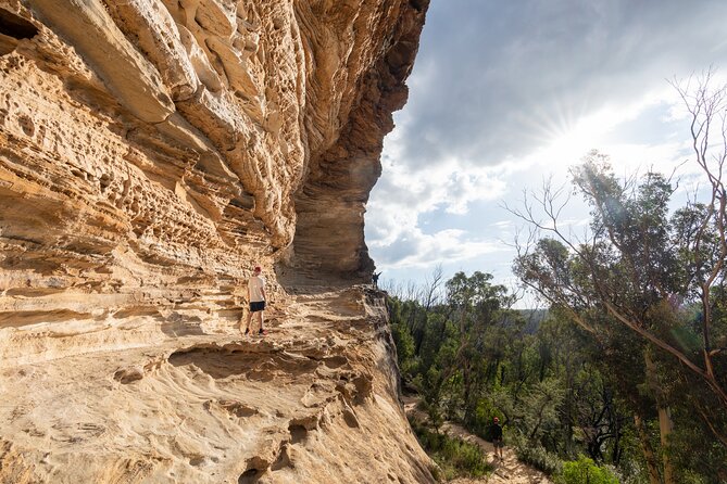 Guided Walking Tour in the Blue Mountains - Hidden Treasures - Reviews and Ratings
