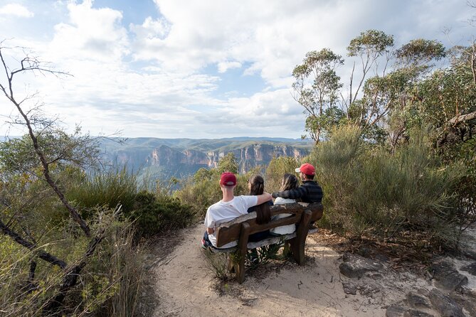 Guided Walking Tour in the Blue Mountains - Hidden Treasures - Tour Experience