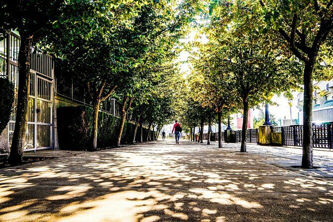 Guided Walking Tour in Vancouver - Discovering Vancouver’s Heart in Just Two Hours