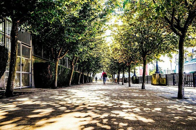Guided Walking Tour in Vancouver - Who This Tour Is Perfect For