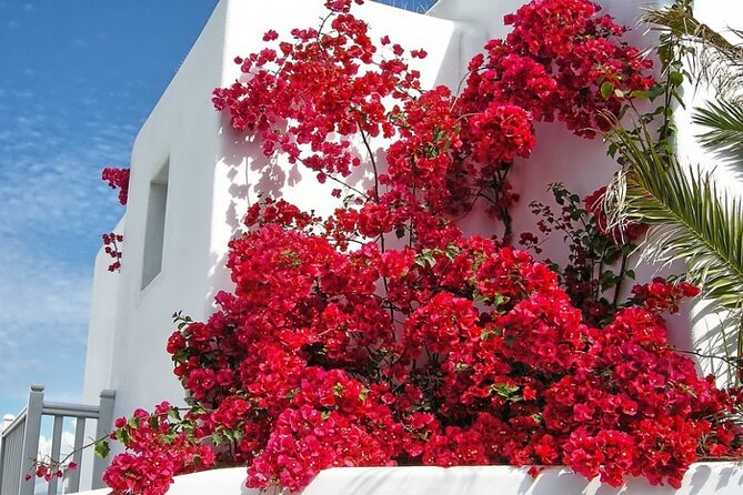 Guided Walking Tour Mykonos, Little Venice, Windmills, Beaches - Highlights: Little Venice