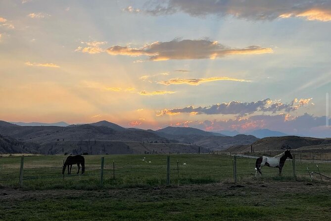 Guided Walking Tour of Methow Meadows and Meet the Animals - Inclusions