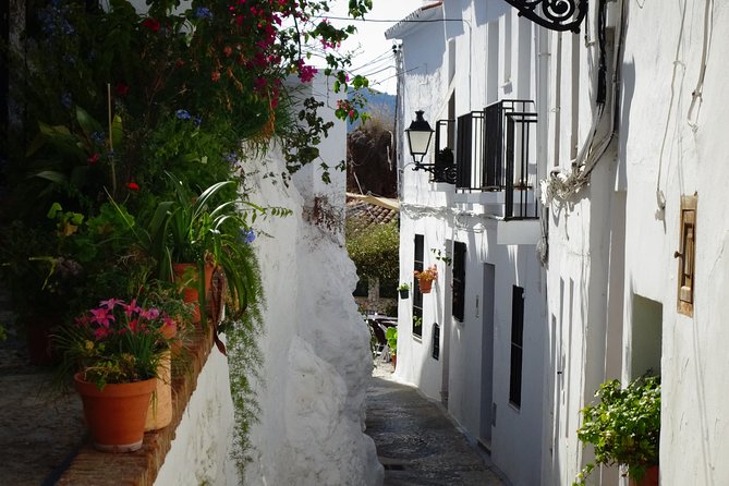 Guided Walking Tour of the Old Town of Frigiliana - Positive Experiences