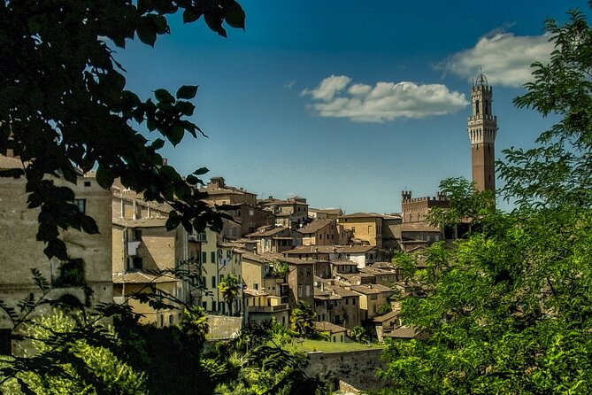 Guided Walking Tour of the Streets of Siena With Aperitif - Aperitif and Snacks