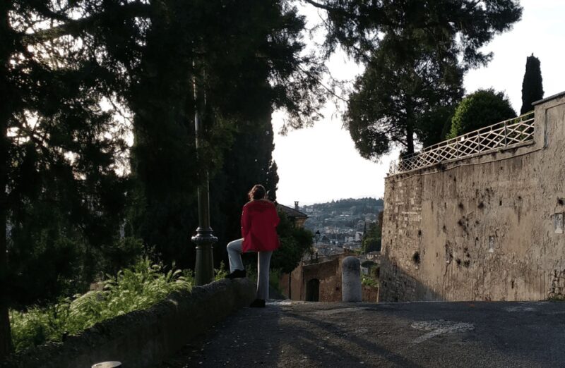 Guided Walking Tour on Verona Hillside - Key Points