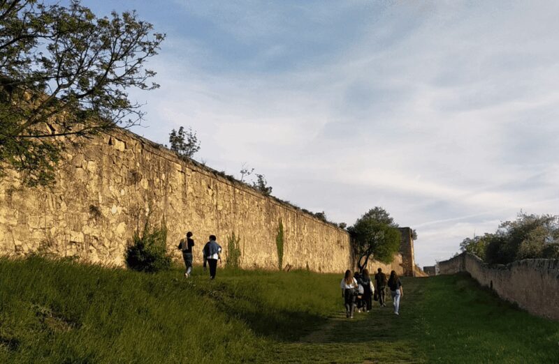 Guided Walking Tour on Verona Hillside - Tour Overview and Pricing