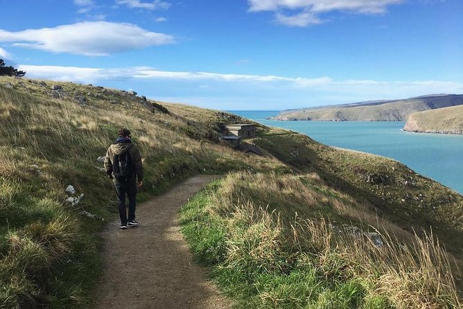 Guided Walking Tour & Scenic Drive Form Christchurch - Lyttelton & Godley Head - Booking Information