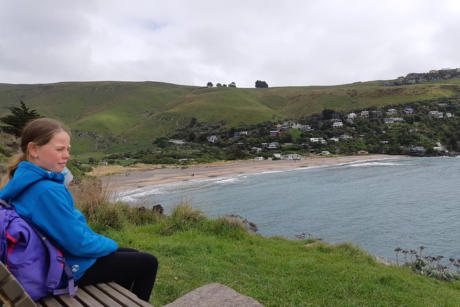 Guided Walking Tour & Scenic Drive Form Christchurch - Lyttelton & Godley Head - Guest Reviews
