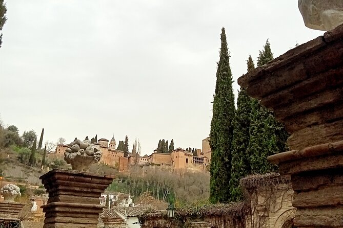 Guided Walking Tour With Panoramic Views and Terraces of Granada - Tour Overview
