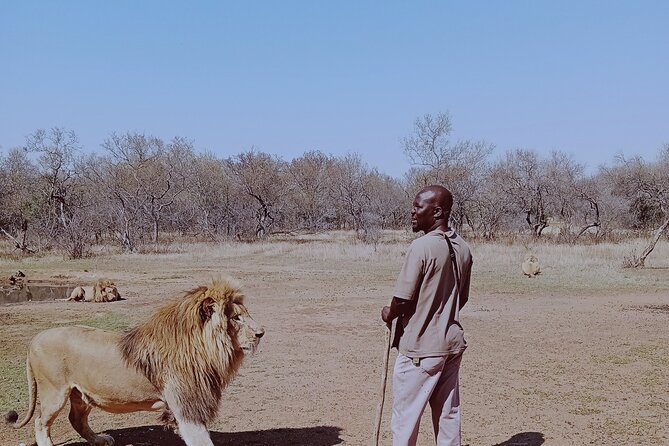 Guided Walking With Lions Bush-Walk Tour - Tour Details and Inclusions
