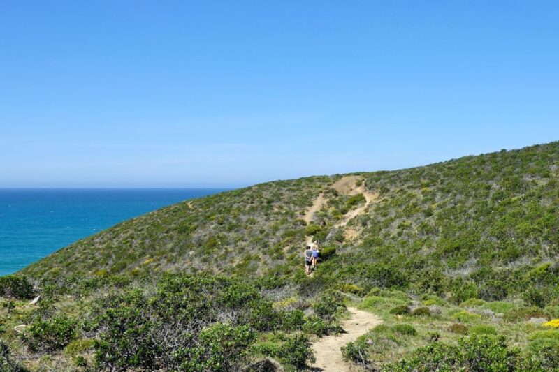 Guided Walk+Picnic: Western Algarve's Wild Beauty - Key Points