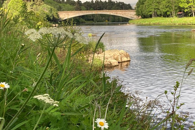 Guided Walks in Grantown-on-Spey - Exploring Wildlife and Nature