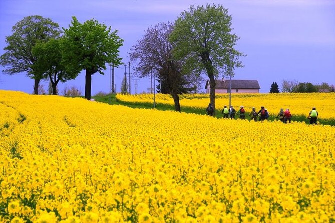 Guided Week Bike Tour in France, Burgundy Wine Region - Wine Tasting Experiences