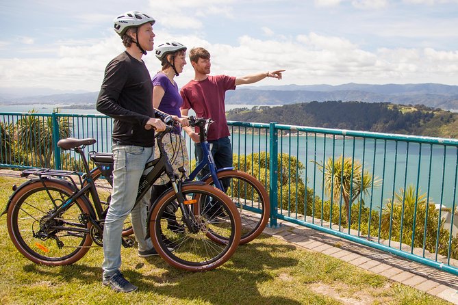 Guided Wellington Tour by Electric Bike - Customer Feedback and Recommendations