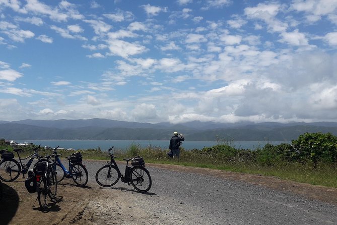 Guided Wellington Tour by Electric Bike - Electric Bike Tour of Wellington