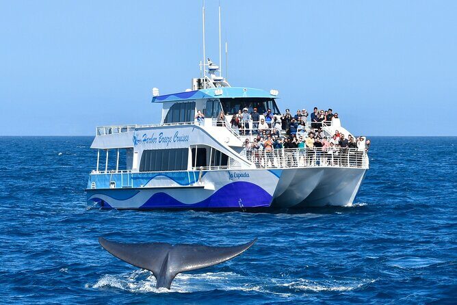 Guided Whale Watching Tour from Long Beach - Starting Point and Ease of Access