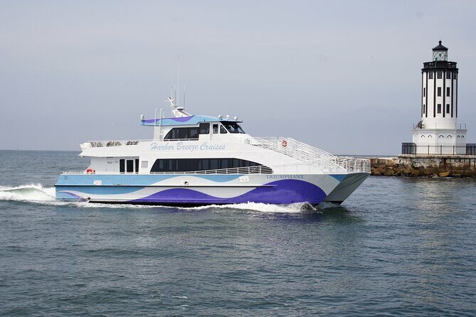 Guided Whale Watching Tour from Long Beach - The Cost and Value