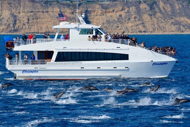 Guided Whale Watching Tour from Long Beach - Final Words