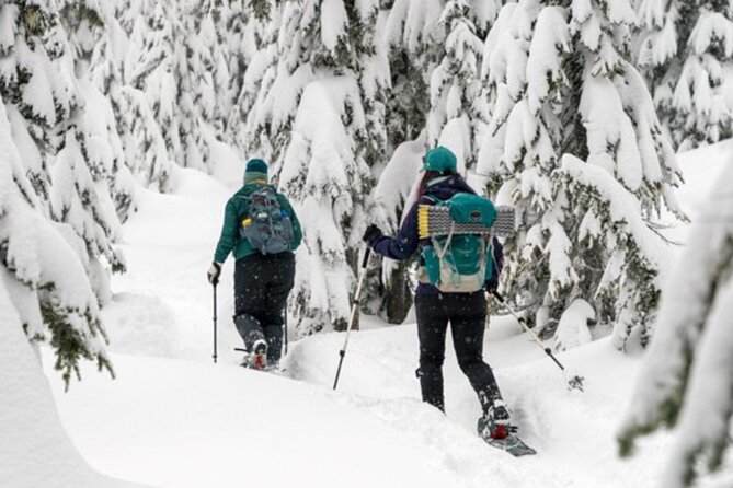 Guided Wilderness Snowshoes Expedition Tour in Rovaniemi - Key Points