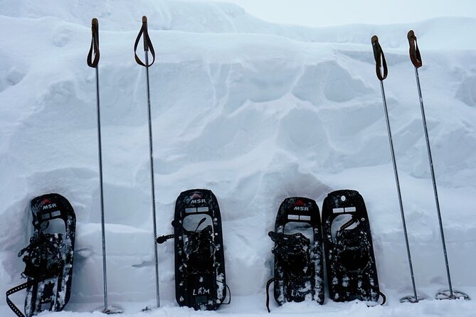 Guided Wilderness Snowshoes Expedition Tour in Rovaniemi - Preparing for the Adventure