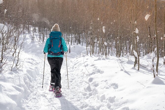 Guided Wilderness Snowshoes Expedition Tour in Rovaniemi - Essential Tour Details and Information