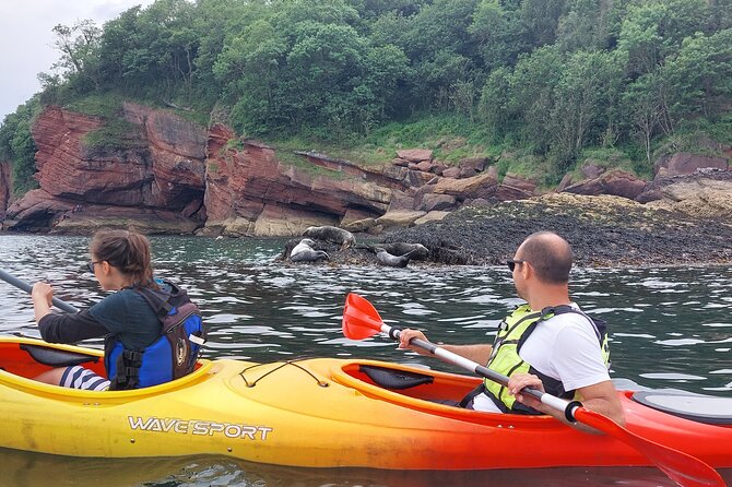 Guided Wildlife and Sea Cave Kayak Safari in English Riviera - Meeting the Knowledgeable Guides